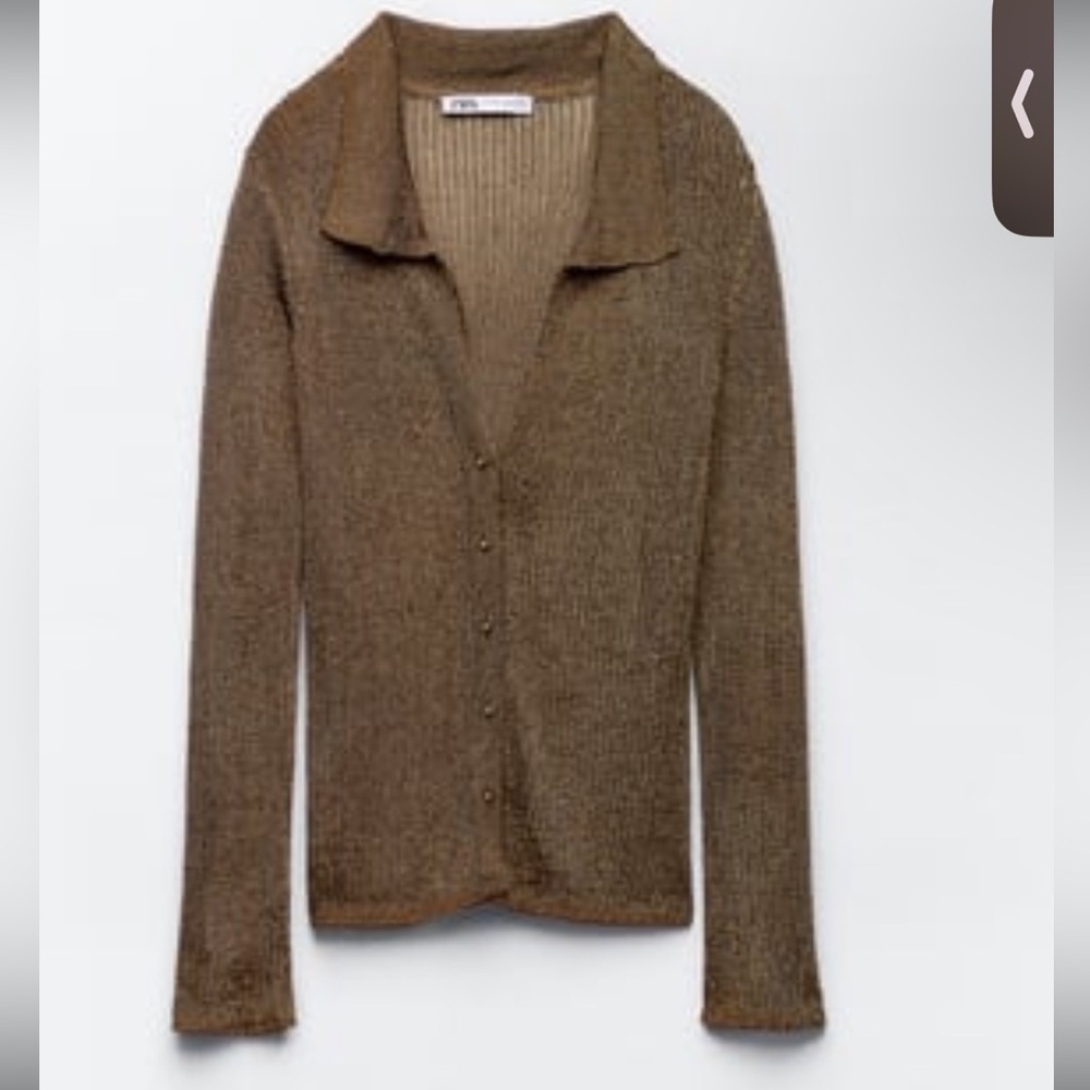 Zara Metallic Mesh Knit Cardigan